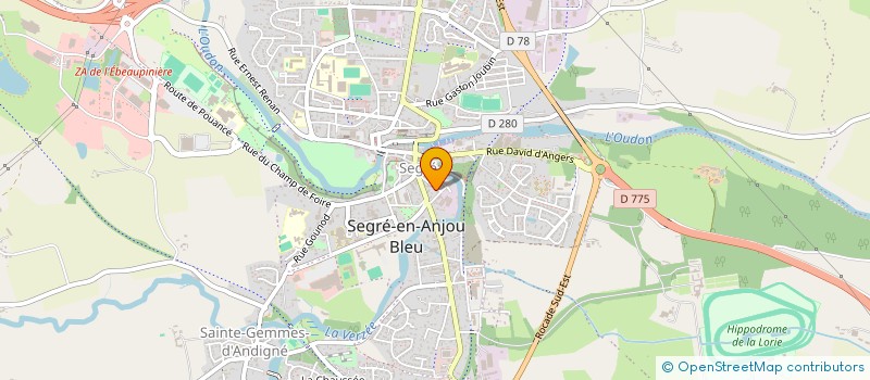 localisation de l'entreprise SATTVA YOGA  SEGRE-EN-ANJOU BLEU