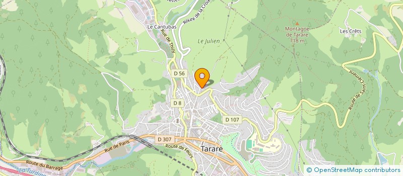 localisation de l'entreprise SATURNE à TARARE