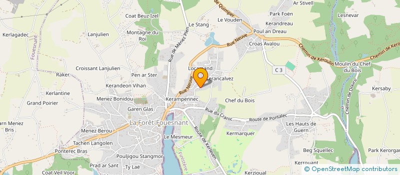 localisation de l'entreprise SAULES OCEANE  LA FORET-FOUESNANT