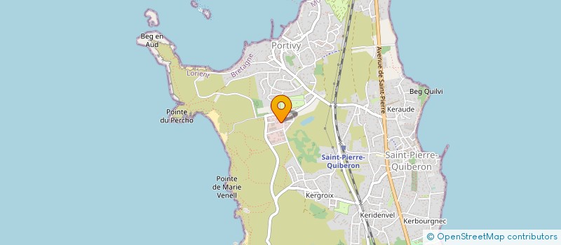localisation de l'entreprise SAUMON FUME D IRLANDE à SAINT-PIERRE-QUIBERON