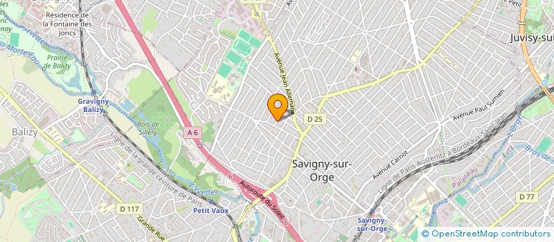 localisation de l'entreprise SAUMON SAUVAGE MUSIQUE  SAVIGNY-SUR-ORGE