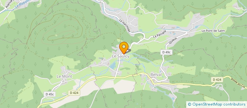 localisation de l'entreprise SAUMONS DE SALM  BELVAL