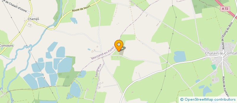 localisation de l'entreprise SAUVAGNEUX ENERGIE  CHALAIN-LE-COMTAL
