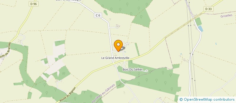 localisation de l'entreprise SAUVETAGE EQUIPE MOBILISEE POUR LE BIEN ETRE DES ANIMAUX  FERRIERES-EN-GATINAIS