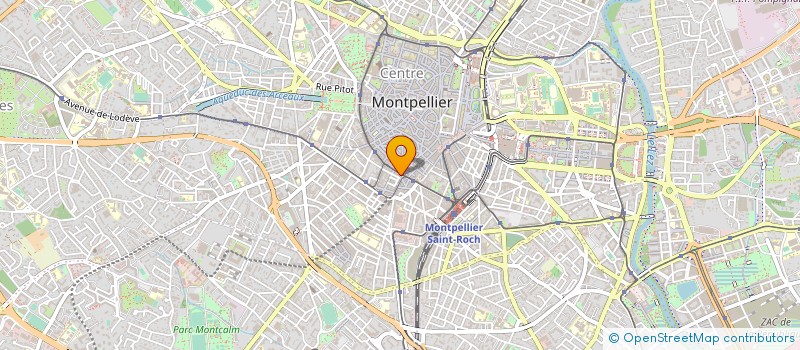 localisation de l'entreprise SAVAJOL PIERRE à MONTPELLIER