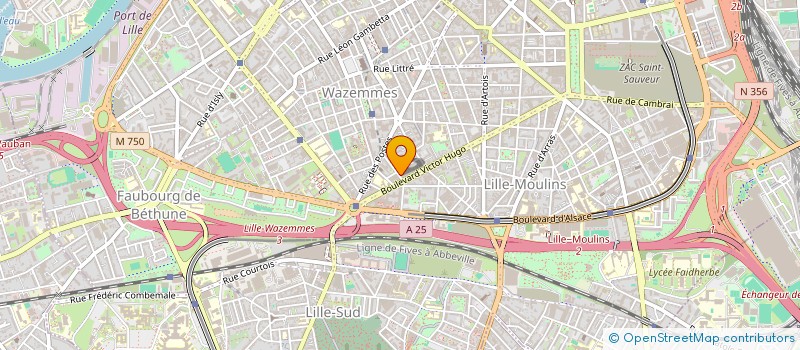 localisation de l'entreprise SAVAS à LILLE
