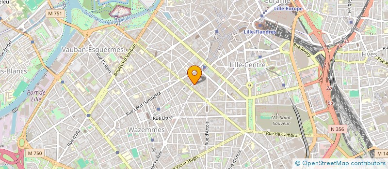 localisation de l'entreprise SAVE à LILLE