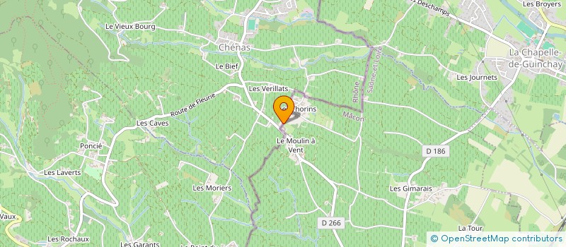 localisation de l'entreprise SAVEUR LOCALE  CHENAS