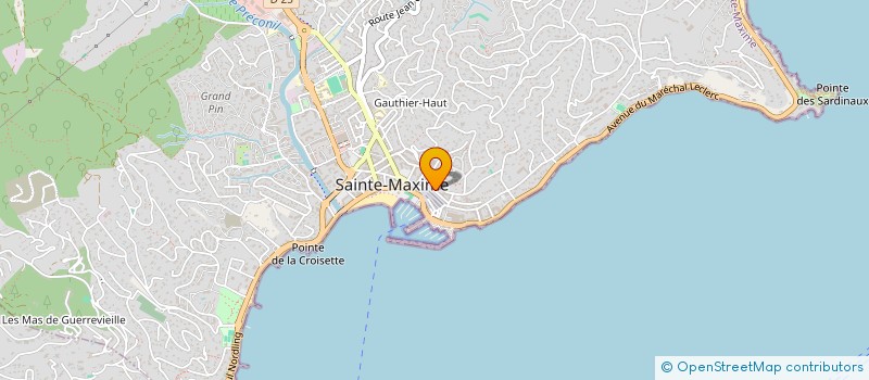 localisation de l'entreprise SAVEURS ET DELICES DU GOLFE  SAINTE-MAXIME