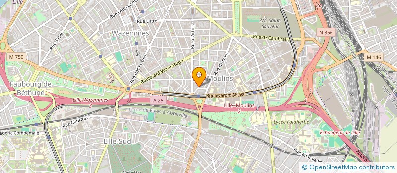 localisation de l'entreprise SAVEURS INDIENNES à LILLE