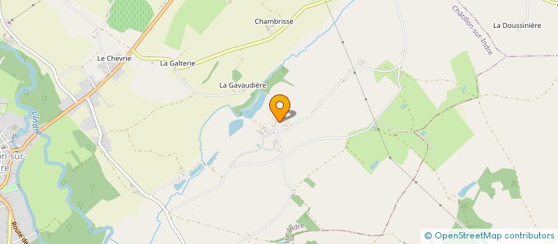 localisation de l'entreprise SAVEURS LATINES à CHATILLON-SUR-INDRE