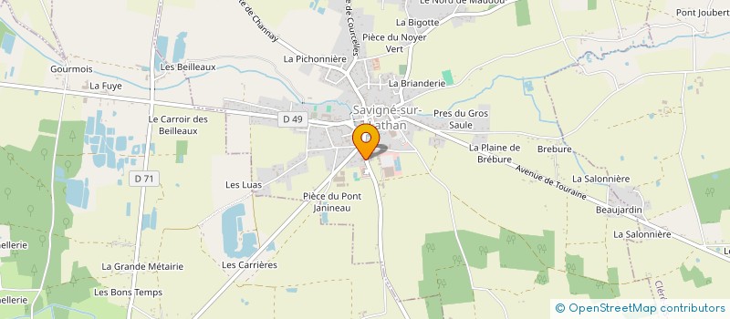 localisation de l'entreprise SAVI COURTAGE à SAVIGNE-SUR-LATHAN