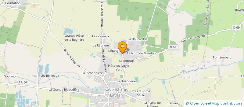 localisation de l'entreprise SAVIGNE TRANSPORTS LOCATION  SAVIGNE-SUR-LATHAN