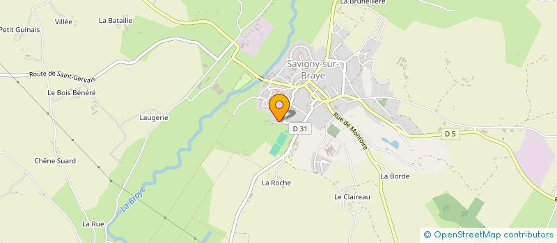 localisation de l'entreprise SAVIGNY TRANSPORTS à SAVIGNY-SUR-BRAYE
