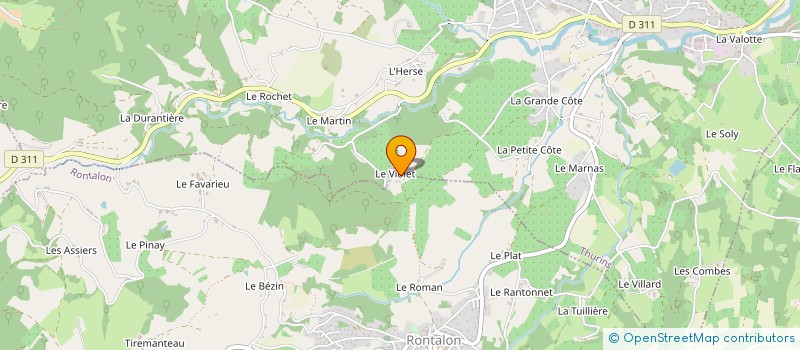 localisation de l'entreprise SAVIN PAT  THURINS