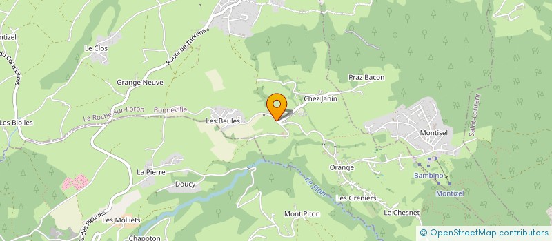 localisation de l'entreprise SAVOIE ROMANDE  LA ROCHE-SUR-FORON