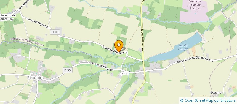 localisation de l'entreprise SAWADY  SAINTE-FOY-DE-PEYROLIERES