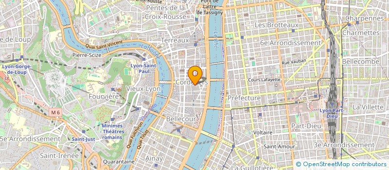 localisation de l'entreprise SAXE SERVICES  LYON