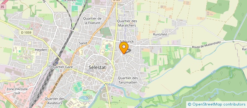 localisation de l'entreprise SAY  SELESTAT