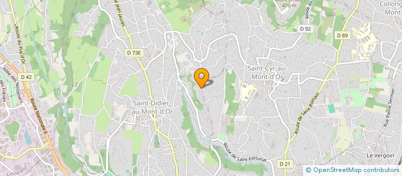 localisation de l'entreprise SAY CONSULTING  LYON