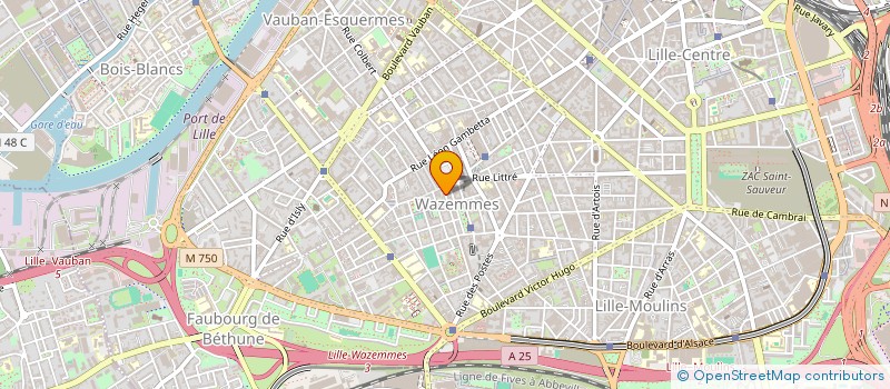 localisation de l'entreprise SAYAMA à LILLE