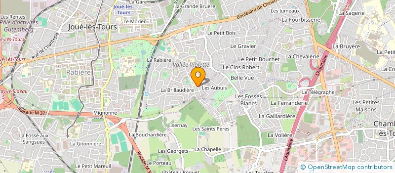 localisation de l'entreprise SAYANA INVEST  JOUE-LES-TOURS