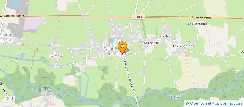 localisation de l'entreprise SAYRAH  SAINT-ETIENNE-LE-MOLARD