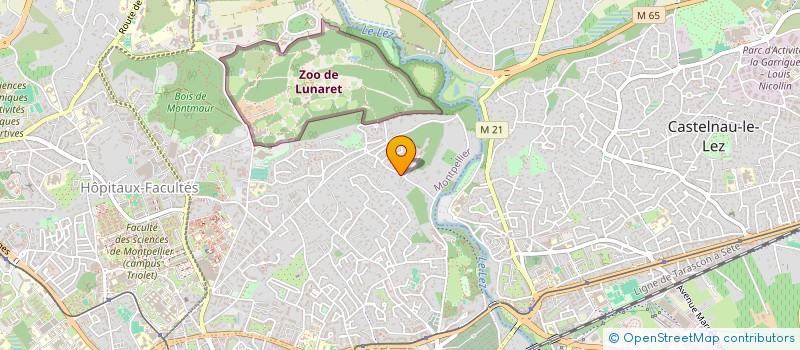 localisation de l'entreprise SB PLACO PLATRE DU MIDI  MONTPELLIER