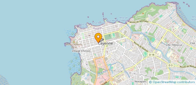localisation de l'entreprise SCAN GUYANE SARL à CAYENNE