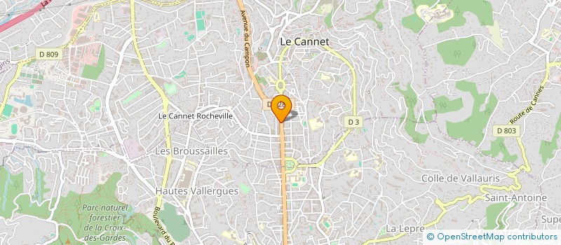 localisation de l'entreprise SCAREUS INTERNATIONAL à LE CANNET