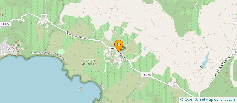 localisation de l'entreprise SCAV DU DOMAINE DE LEOUBE à BORMES-LES-MIMOSAS