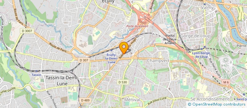 localisation de l'entreprise SCCV VILLA LES PALMIERS  TASSIN-LA-DEMI-LUNE