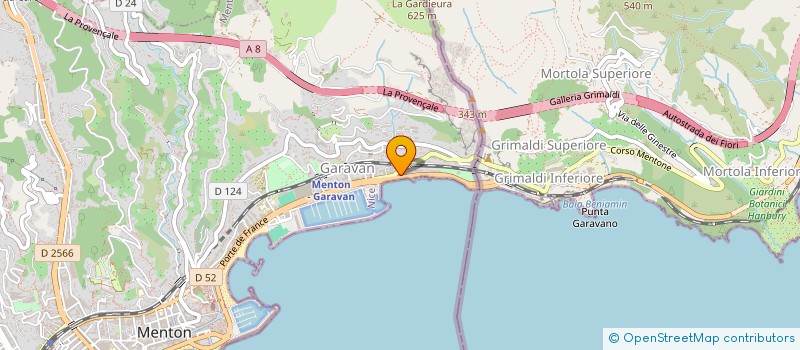 localisation de l'entreprise SCDF FALLETI AGNESE à MENTON