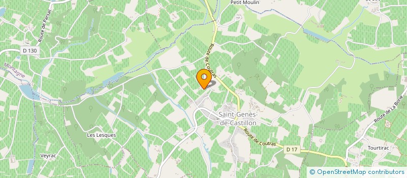 localisation de l'entreprise SCDF FRITEGOTTO  SAINT-GENES-DE-CASTILLON