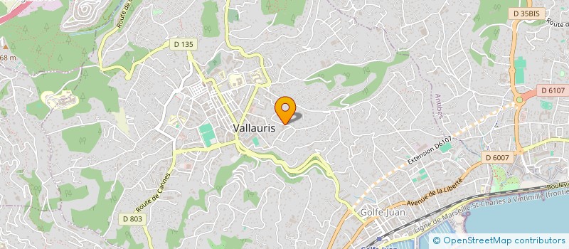 localisation de l'entreprise SCDF J DRIEUX ET A TISSIER à VALLAURIS