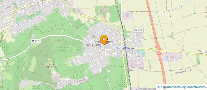 localisation de l'entreprise SCDF LUZI FREDERIC FLORENTIN CHRISTINE  BISCHOFFSHEIM