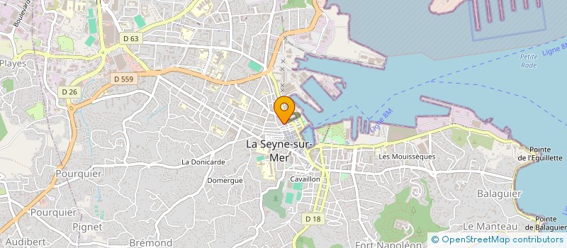 localisation de l'entreprise SCDF MINERVA ET FIGUE à LA SEYNE-SUR-MER