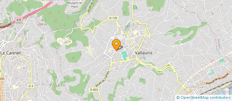 localisation de l'entreprise SCDF ROS FRANCISCO ET ROBERT à VALLAURIS