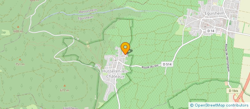 localisation de l'entreprise SCEA BIRGHAN PIERRE  HUSSEREN-LES-CHATEAUX