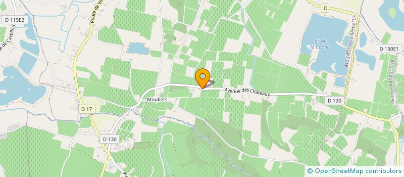 localisation de l'entreprise SCEA CHATEAU RIGAUD BELLEVUE  MOULIETS-ET-VILLEMARTIN