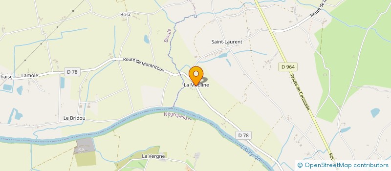 localisation de l'entreprise SCEA DE LA MOULINE  MONTRICOUX