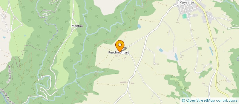 localisation de l'entreprise SCEA DE PUECHMONTARD à LA SALVETAT-PEYRALES