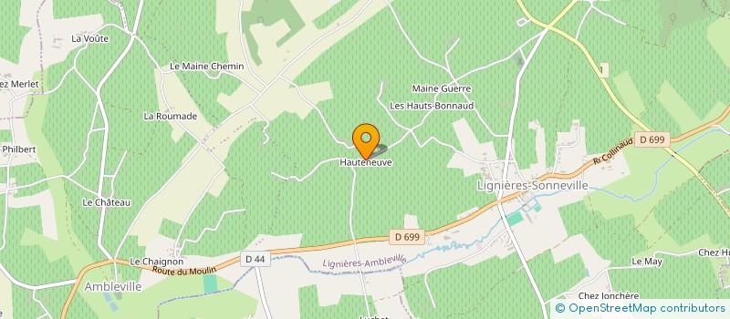 localisation de l'entreprise SCEA DOMAINE DE HAUTENEUVE à LIGNIERES-AMBLEVILLE