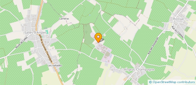 localisation de l'entreprise SCEA DU COQ à ANGEAC-CHAMPAGNE