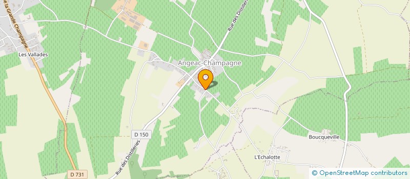 localisation de l'entreprise SCEA DU REARD à ANGEAC-CHAMPAGNE