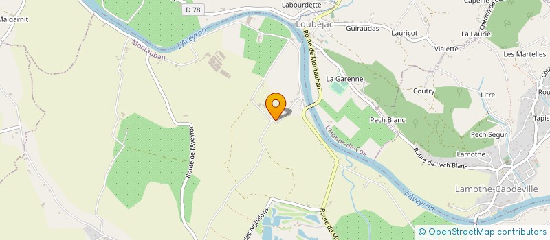 localisation de l'entreprise SCEA L'ABEILLE ET LA COCCINELLE  MONTAUBAN