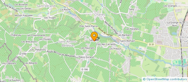 localisation de l'entreprise SCEA LES DEUX FLECHES à SAINT-AMOUR-BELLEVUE