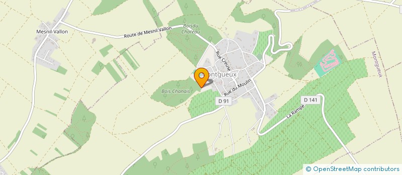 localisation de l'entreprise SCEA SAINT MEDARD  MONTGUEUX