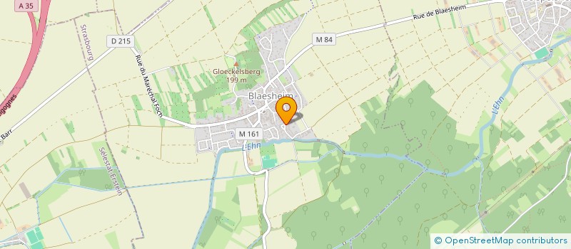 localisation de l'entreprise SCEA SOCIETE CIVILE LAITIERE GOOS à BLAESHEIM