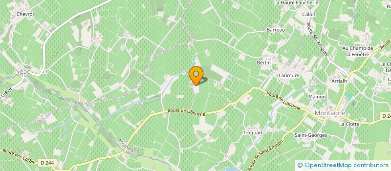 localisation de l'entreprise SCEA VIGNOBLES DESPAGNE-RAPIN à MONTAGNE